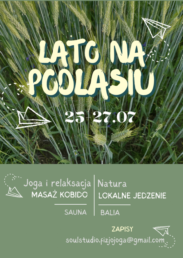 Zdjęcie na okładce aukcji