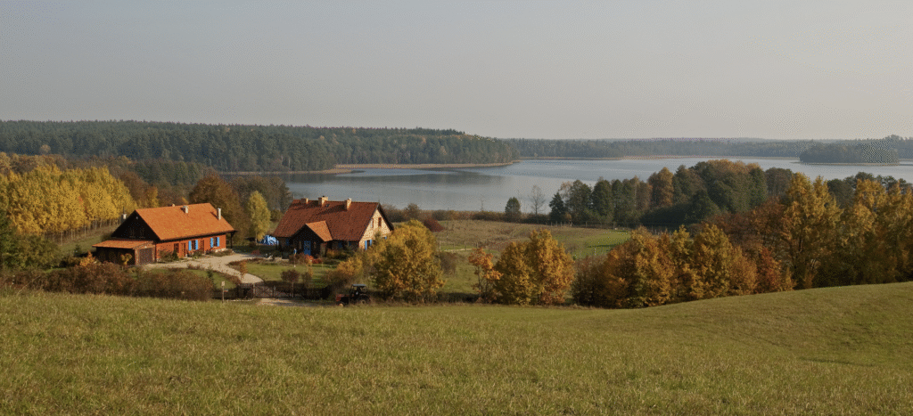 Zdjęcie na okładce aukcji