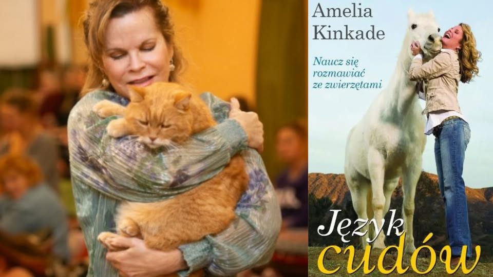 Zdjęcie na okładce aukcji